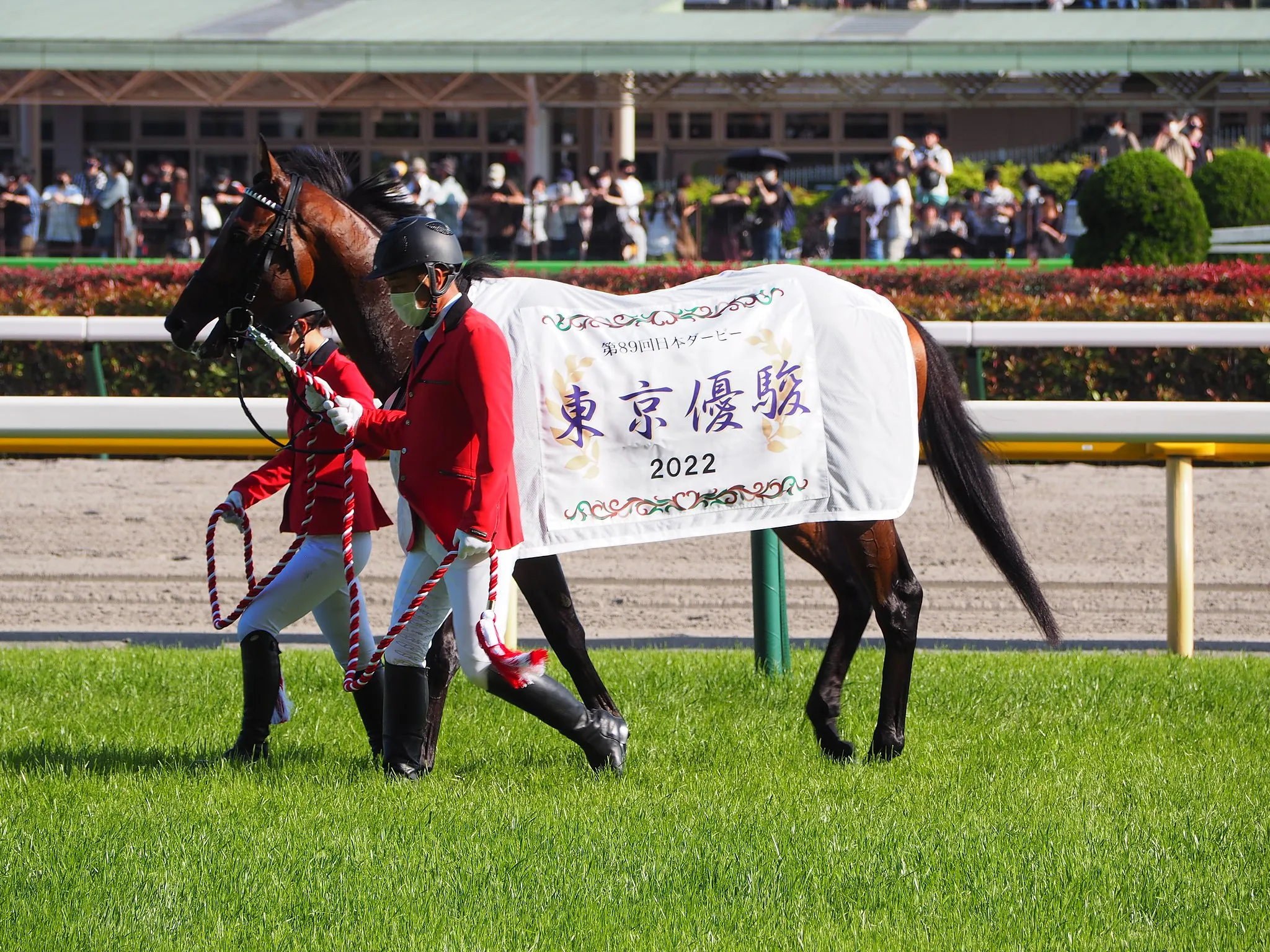 4月24日は、日本ダービー記念日 – なぜ人々は競馬に魅せられるのか