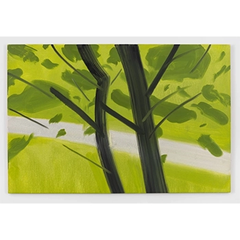 アレックス・カッツ、「サニー No.4」、希少な額装用画集より、新品高級額装付 アレックス・カッツ「Four Seasons」、8/29（金）よりSCAI PIRAMIDEで