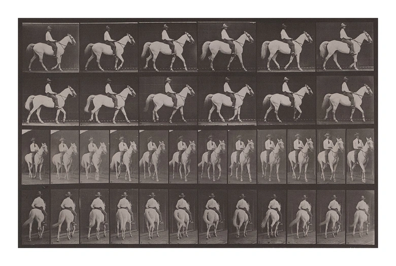 動画の原点『アニマル・ロコモーション』「連続写真に取り憑かれ