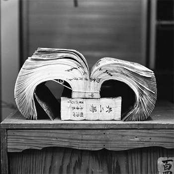 潮田登久子 写真集「ビブリオテカ - 本の景色」2017年 初版 ウシマオダ 本の景色 VIEWS OF THE BOOKS / 潮田登久子 Tokuko Ushioda