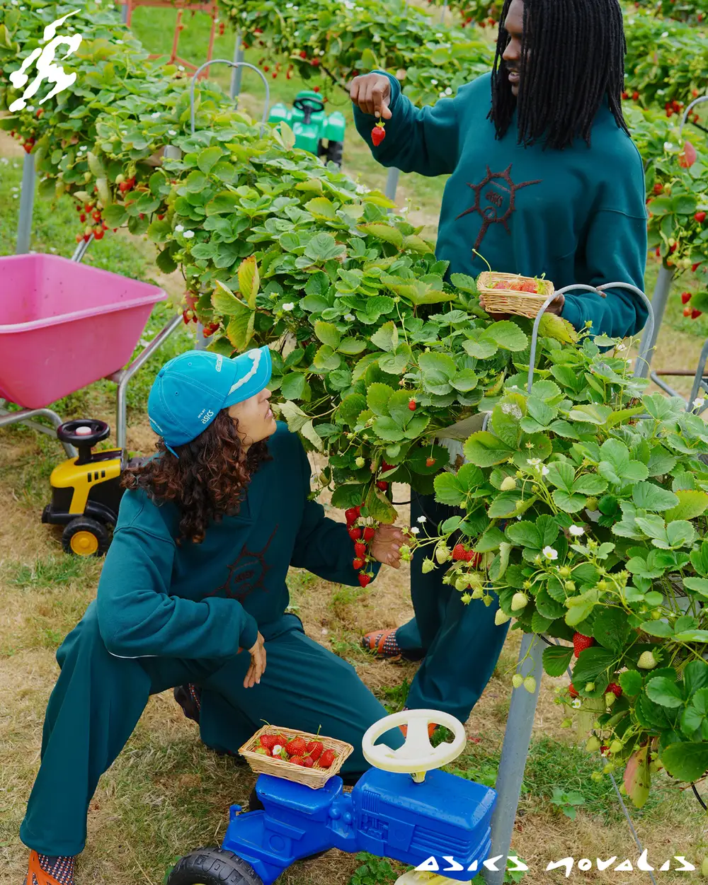 Ours rose君着用 正規品 Asics Novalis kiko Ours rose君着用 Asics Novalis kiko