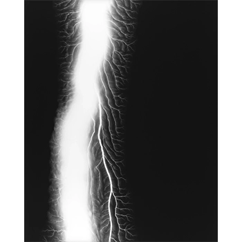 杉本博司の原点、銀塩写真による静謐な問いかけ──「杉本博司 絶滅